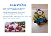 2017-03-10 Kurz pečení